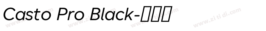 Casto Pro Black字体转换